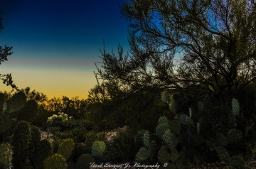 Sonoran Desert Sunset