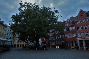 Streets Of Copenhagen - Inner City 20