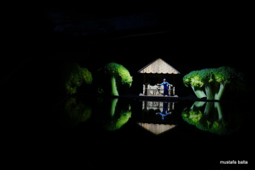 Miniciks Hayatlar  YANSIMA 