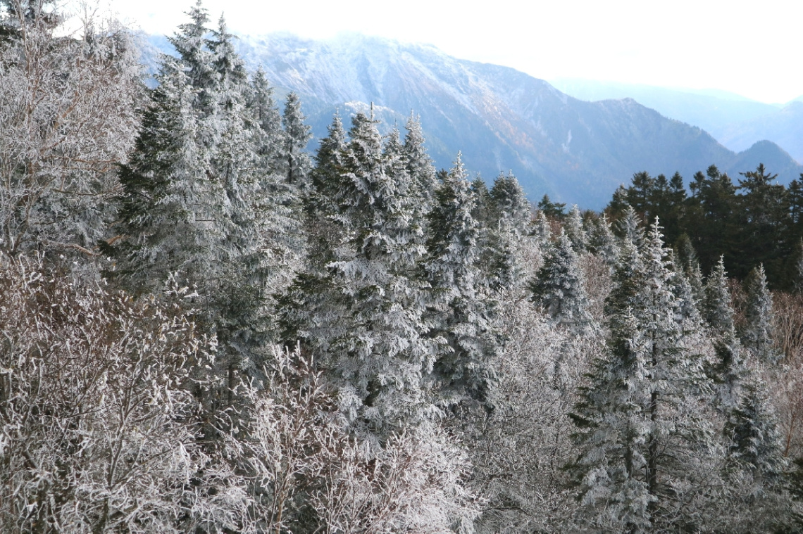Early winter