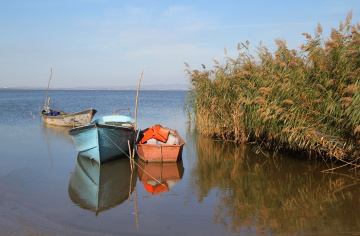 Kızıksa, Manyas