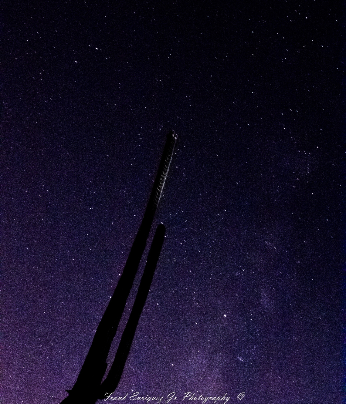 A Sonoran Desert Milky Way
