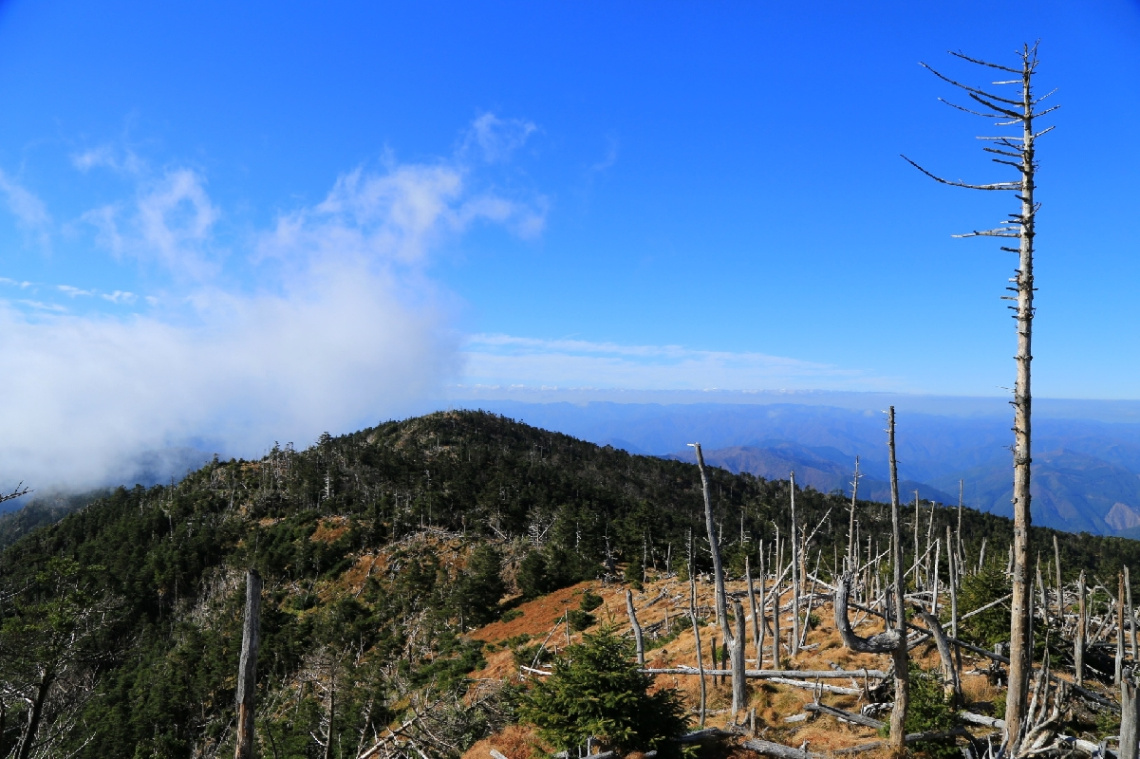 Highest place