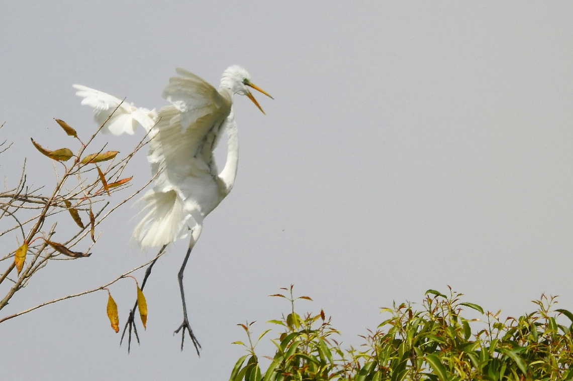 Learning to fly...