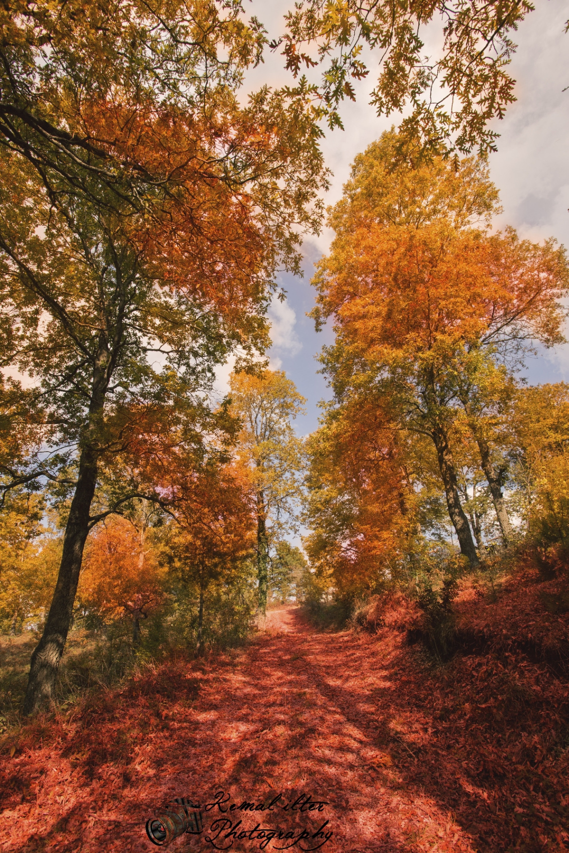 Uzun İnce Bir Yol