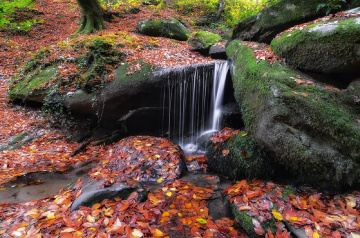 Suuçtu Sol Yan Dere Şelaleciği