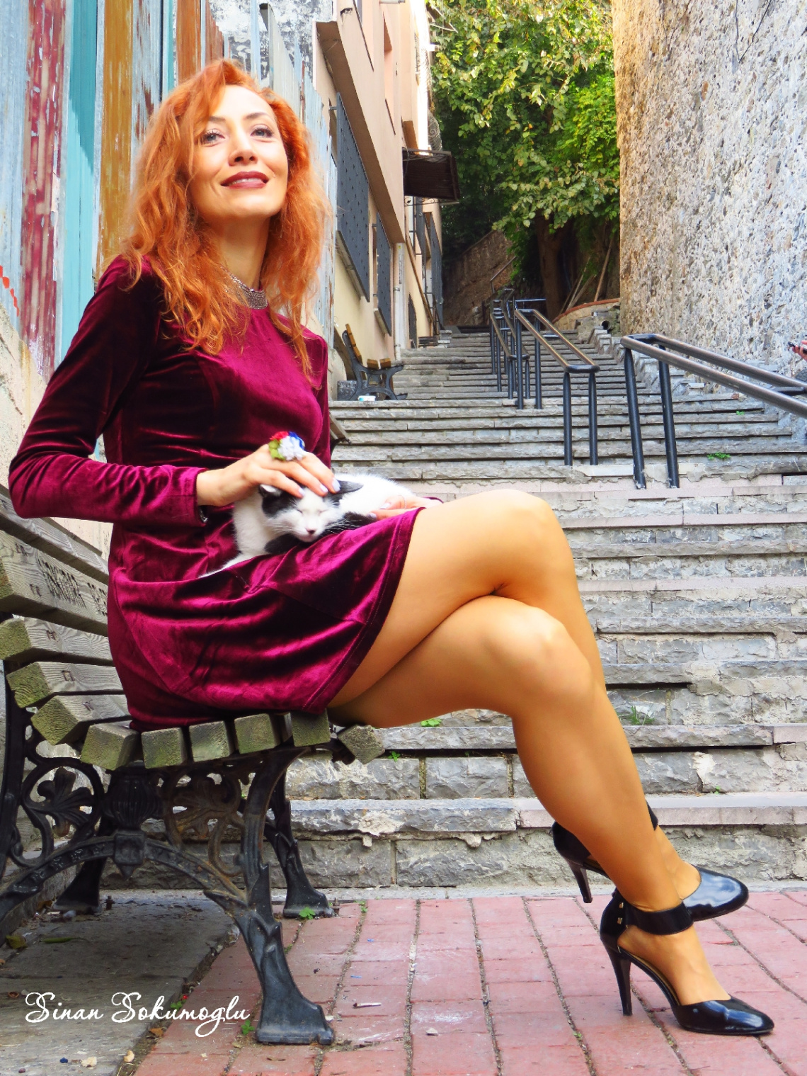 model ve kedi