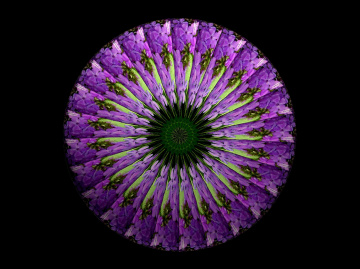 BLUMENMANDALA