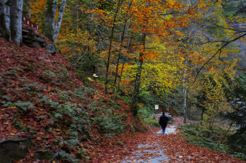 Hazan - Suuçtu Mevkii