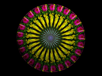 BLUMENMANDALA