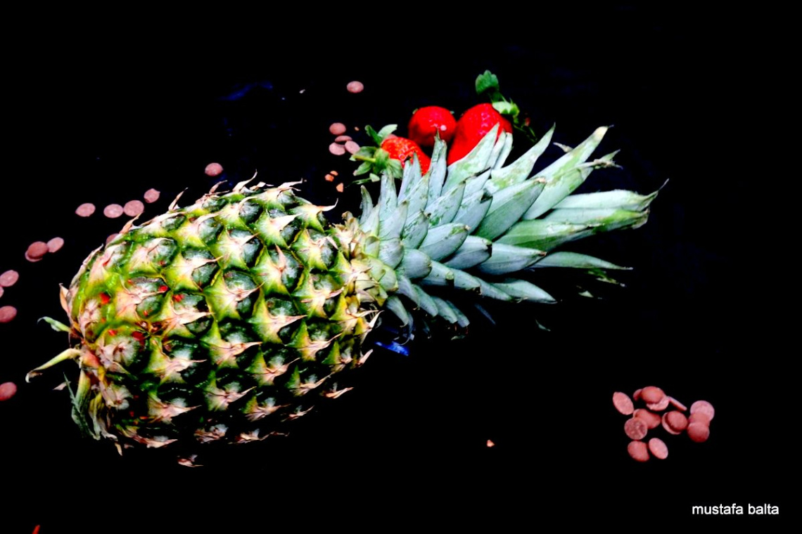 mİNİCİKS HAYATLAR  ANANAS 