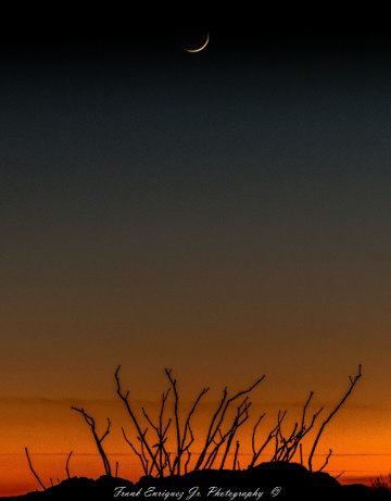 An Arizona Sonoran Desert Sunset