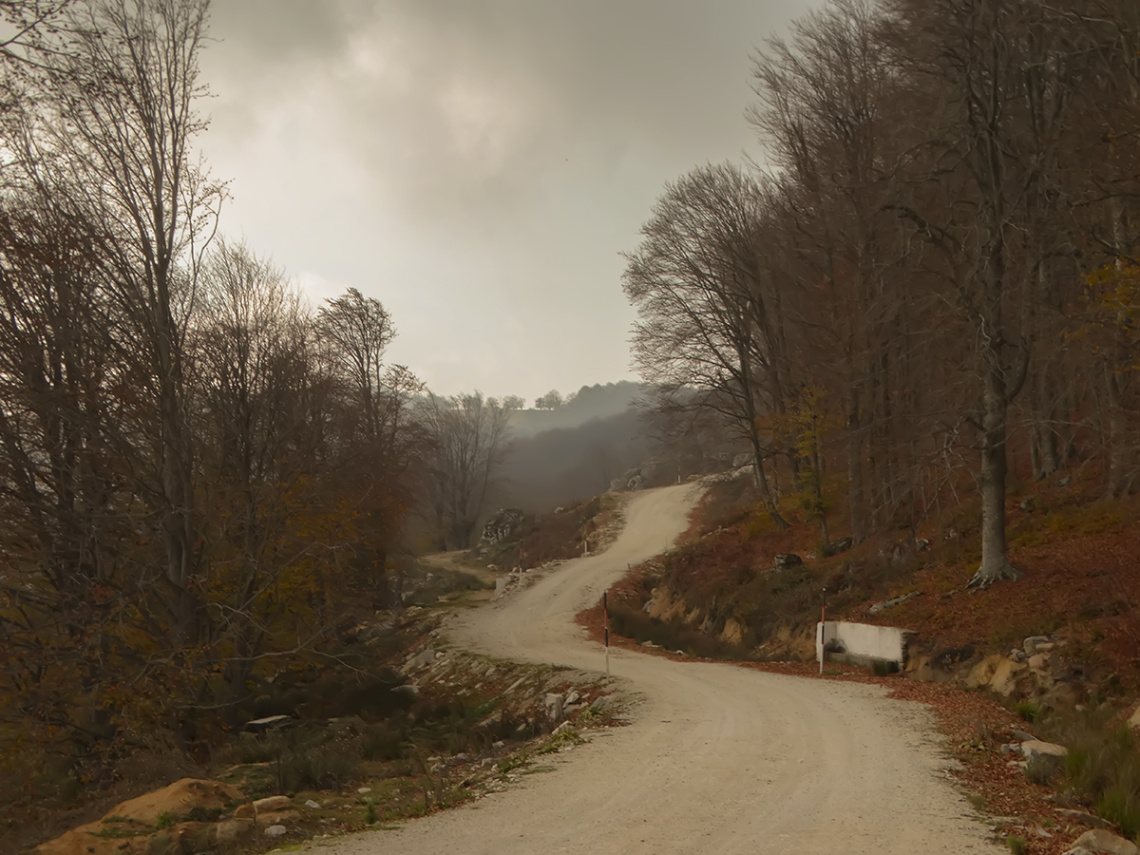 Yol - 3