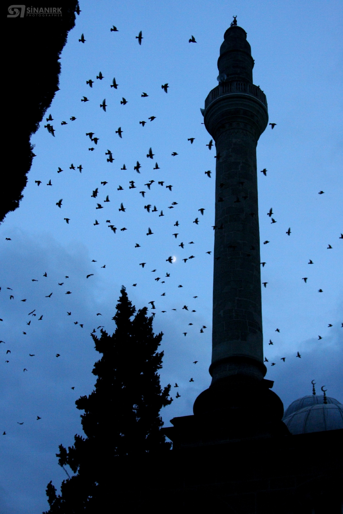 Samsun