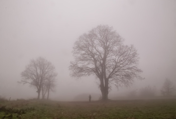 Sis - Dallıca Kavşağı MKPaşa