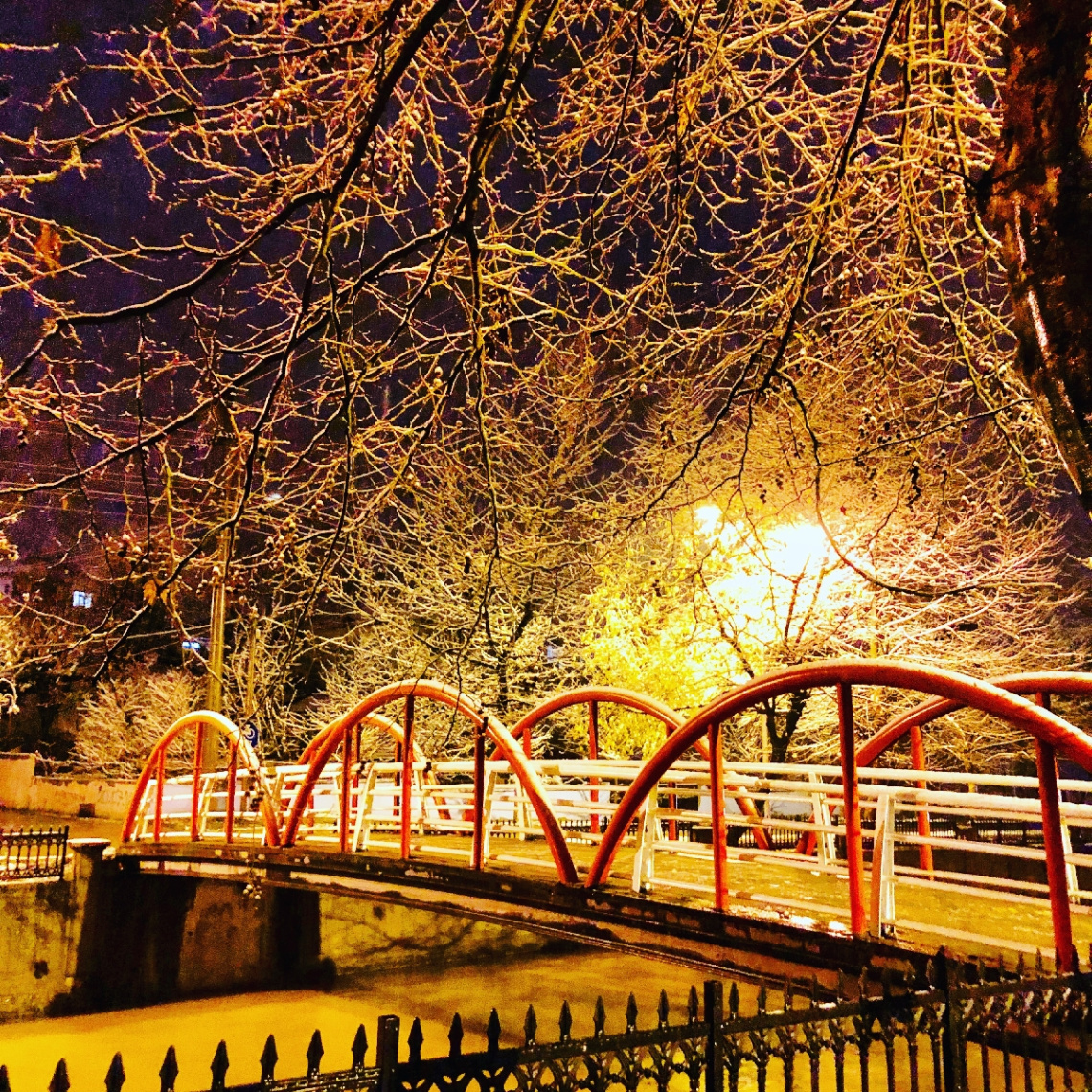 Snow time 