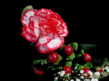 BLÜTE