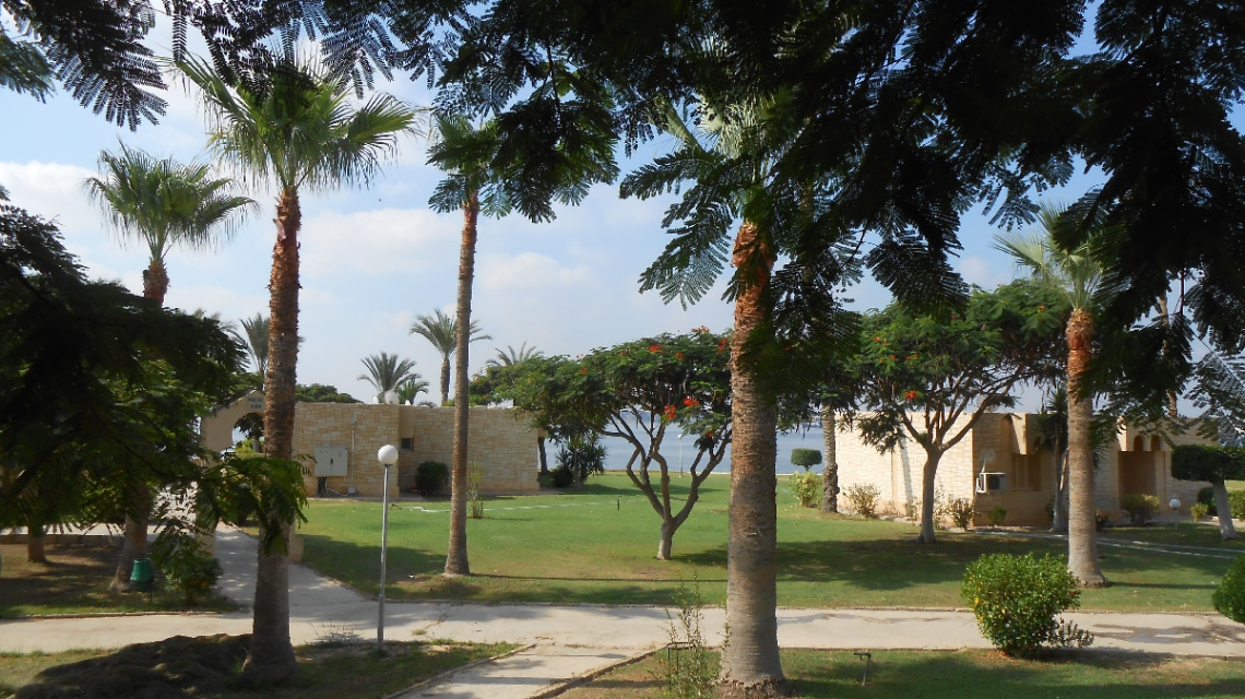 Egypt - Ismaillia