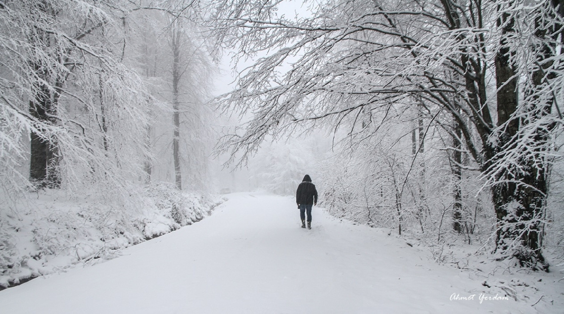 Kışın Güzelliği