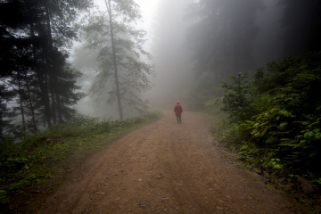 Yayla yollarında