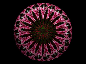 BLUMENMANDALA