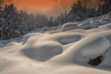 Cold and warm