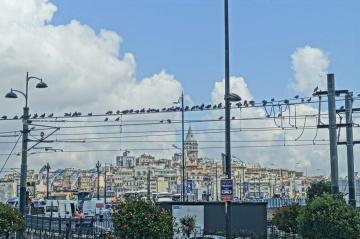 Şehrin Sakinleri