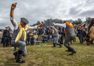 37.SELÇUK Deve Grş.Festivali.