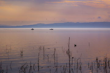 Gölyazı