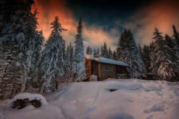 Winter fairy tale