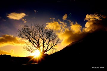 Miniciks hayatlar  SİLÜET 