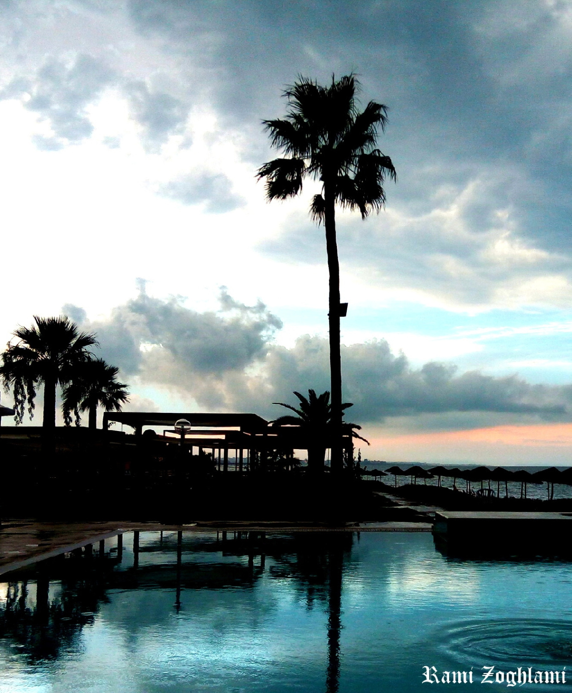 Loving Palms