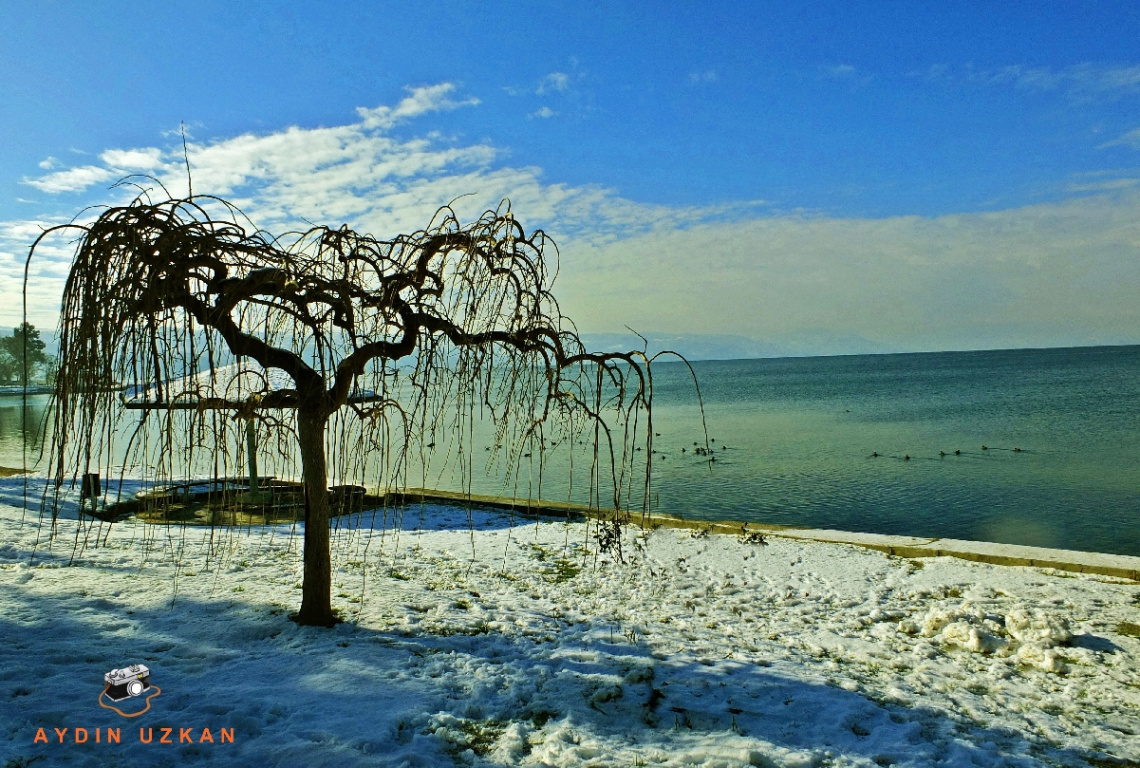 BEYAZ TELKİN