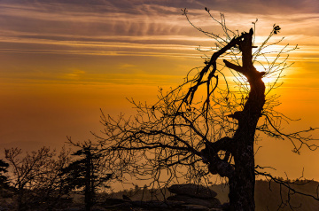 Çataldağ Zirve Akşamı
