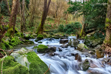 Çınarlı Dere Piknik Alanı 1 / Derince / Kocaeli 
