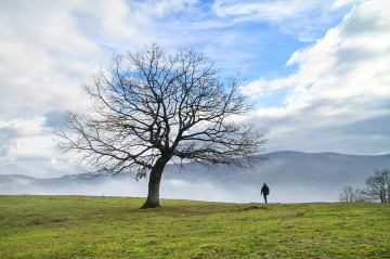 Doğanın Içinde...