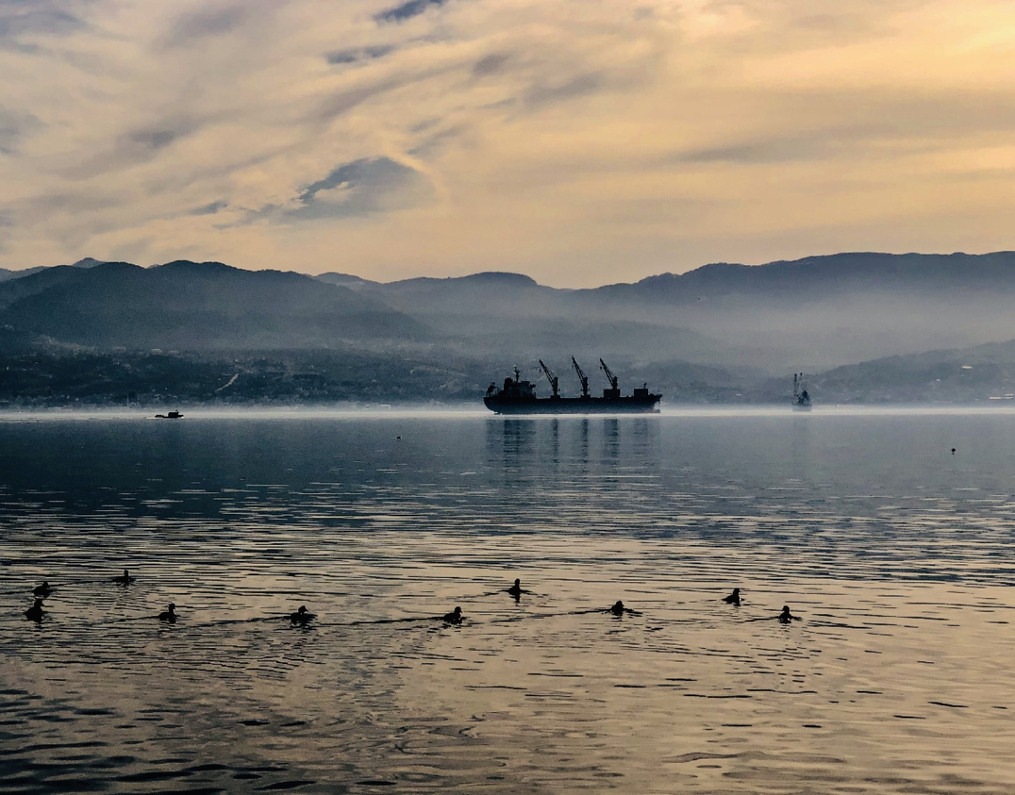 Huzur/ Sekapark Sahil 
