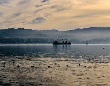 Huzur/ Sekapark Sahil 