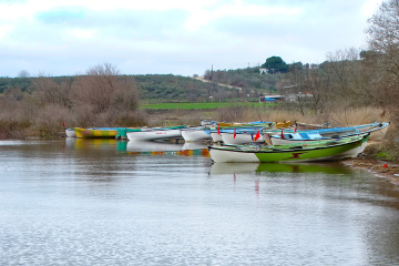 Eskikaraağaç