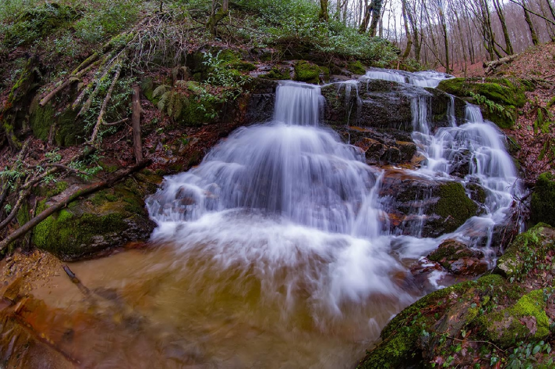 Dağpınar Civarı Dere 343