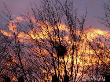 Sonnenuntergang