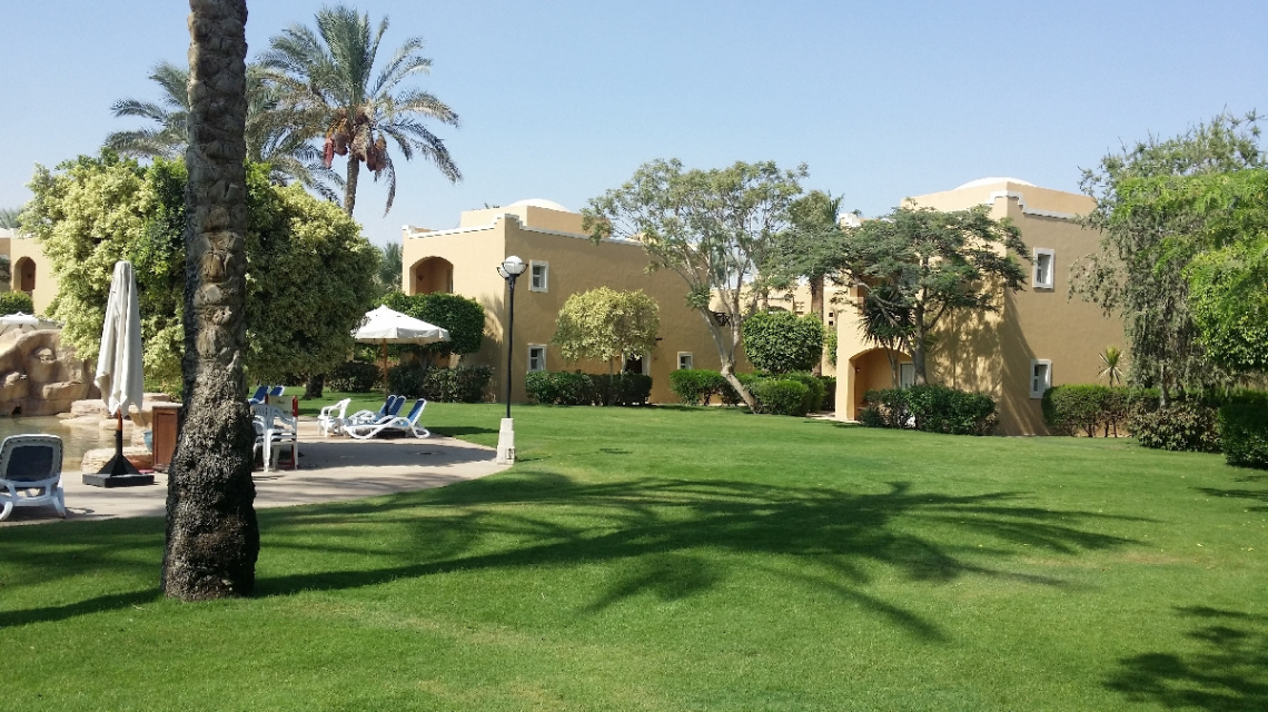 Egypt  - Alain alsokhna