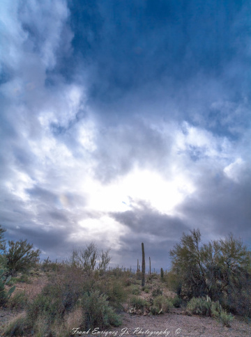 Rainy Days And Mondays