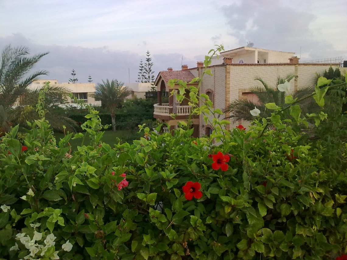 Egypt  - North coast 