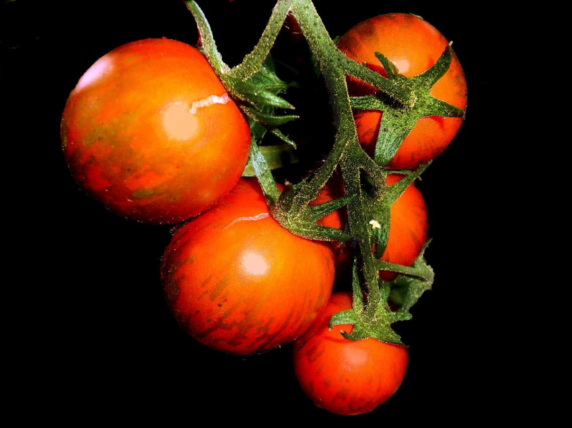 TOMATEN