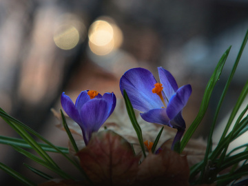 New beginning