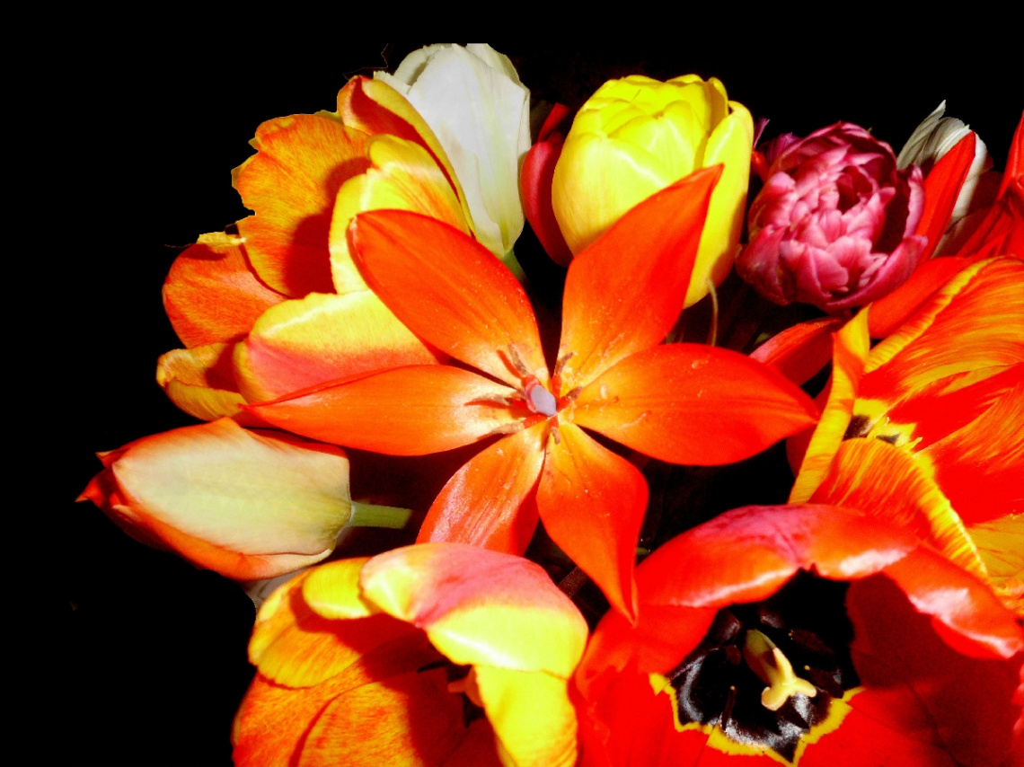 BLÜTEN