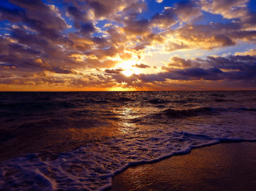 One day wonderful 