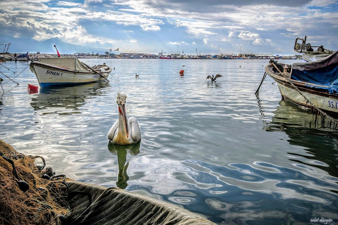 Bostanlı Balıkçı Barınağı.. 