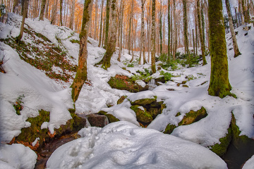 Kar - Kışta Suuçtu Sol Yan Dere 